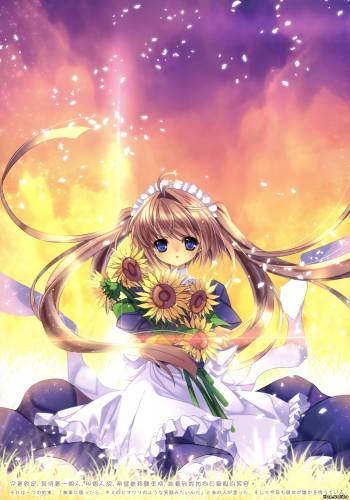 Смотреть Maid (53) - Аниме на Animes.BY!